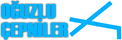 Oguzlu.com